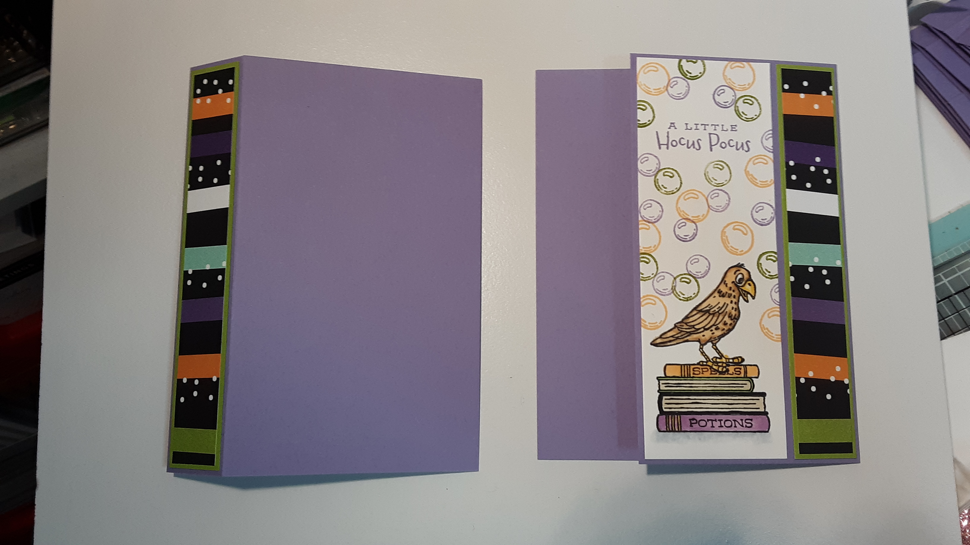 Potions and Spells Book Jacket Card